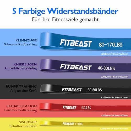 FitBeast Widerstandsbänder Set