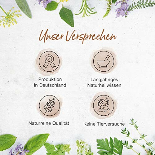 Vier Symbole mit Versprechen: Produktion in Deutschland, Naturheilwissen, natürliche Qualität, keine Tierversuche.